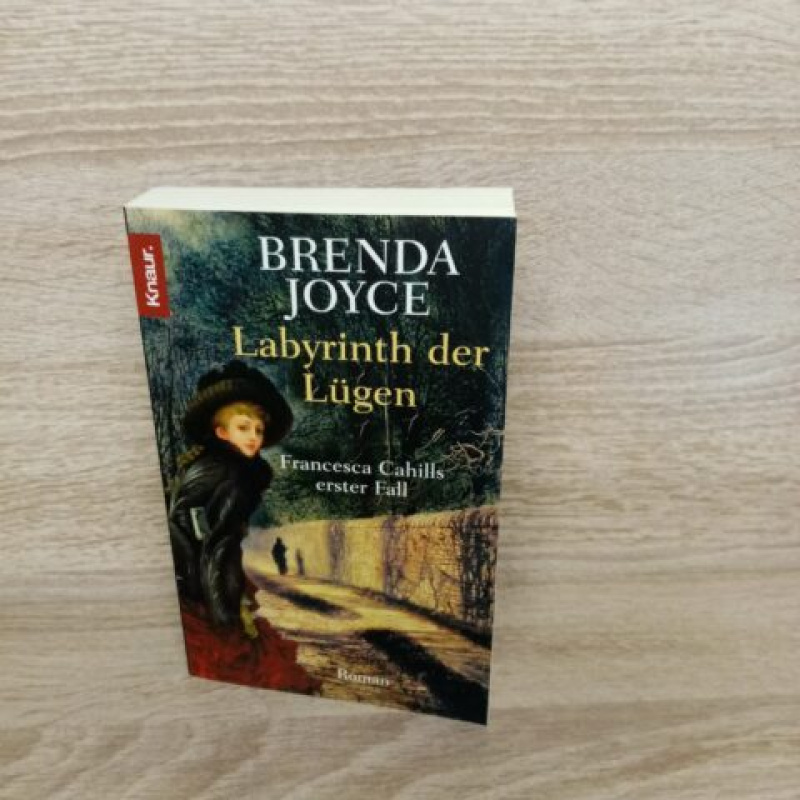 Brenda Joyce-Labyrinth der Lügen – Francesca Cahills erster Fall-Roman