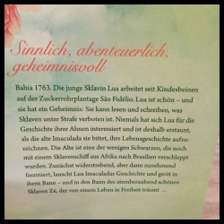 Ana Veloso-Das Lied des Kolibris – Roman  .