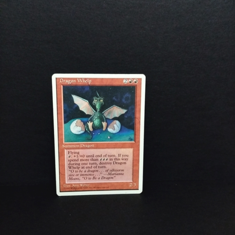 Magic the Gatering -Sammelkarte-Dragon Whelp