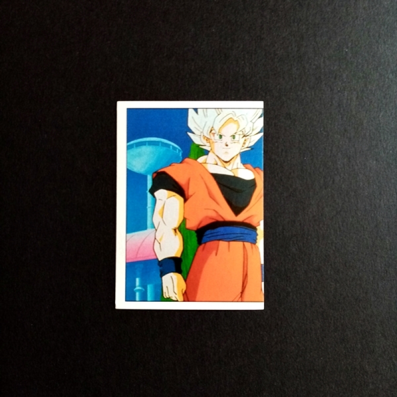 Panini Sammelsticker Dragonball Z Nr. 30