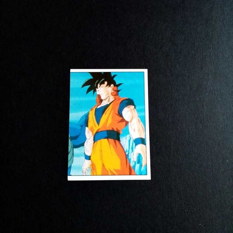 Panini Sammelsticker Dragonball Z Nr. 123