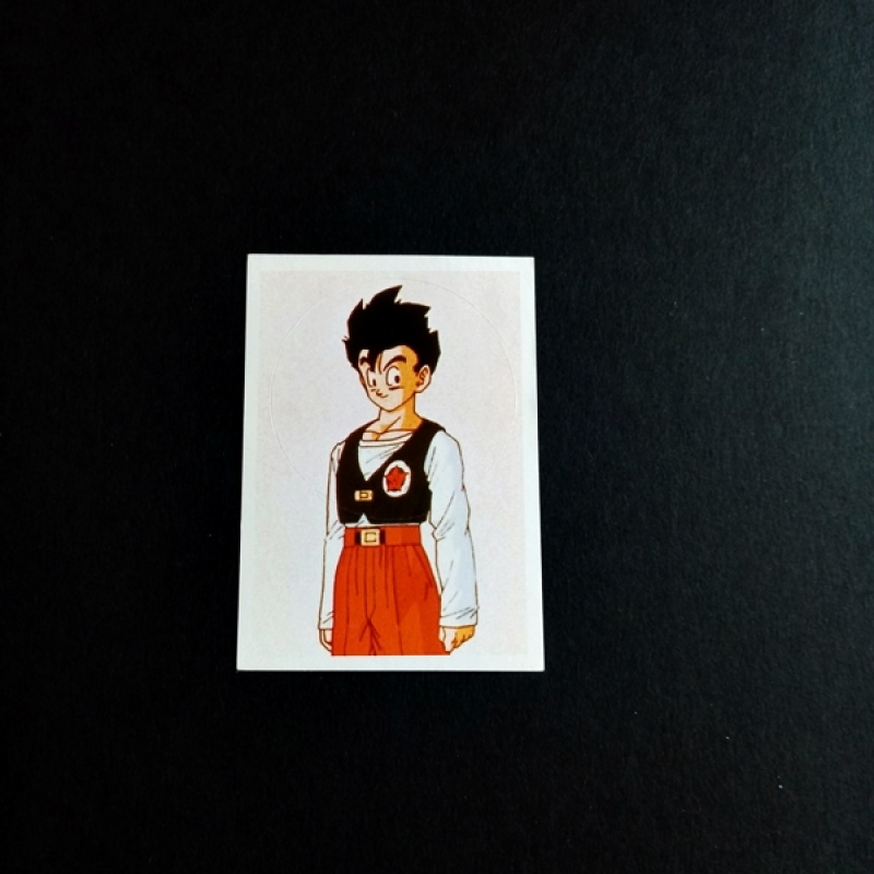 Panini Sammelsticker Dragonball Z Nr. 2