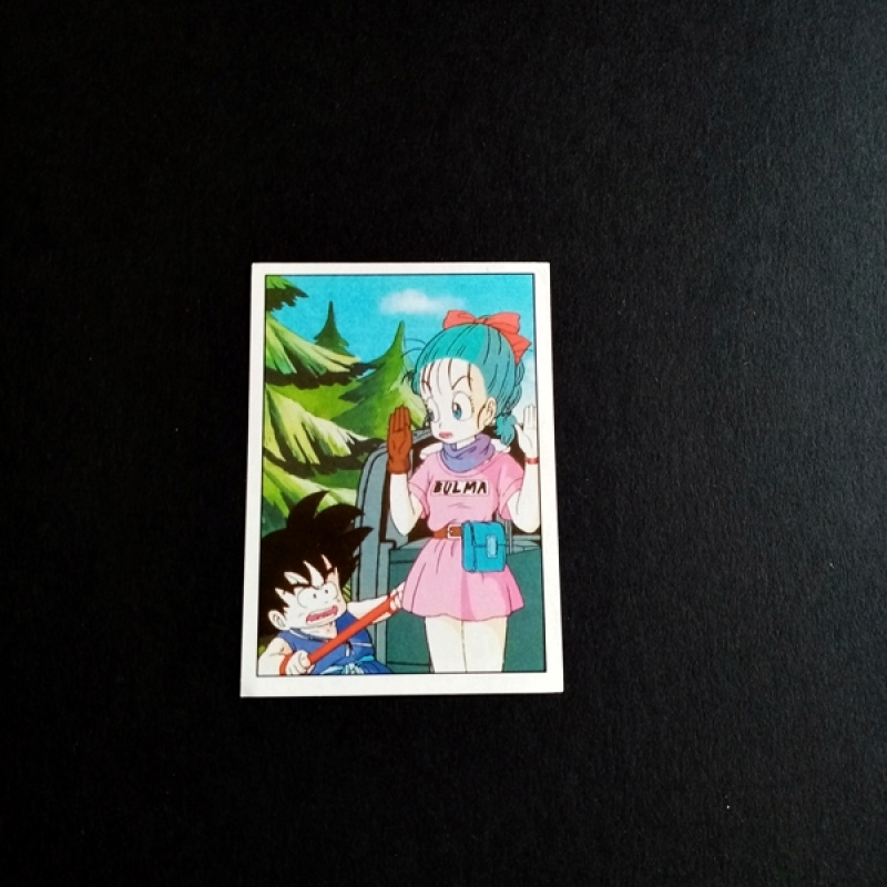 Panini Sammelsticker Dragonball Z Nr. 60