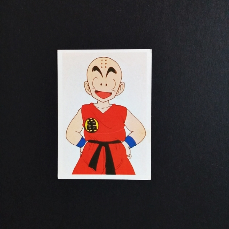 Panini Sammelsticker Dragonball Z Nr. 5