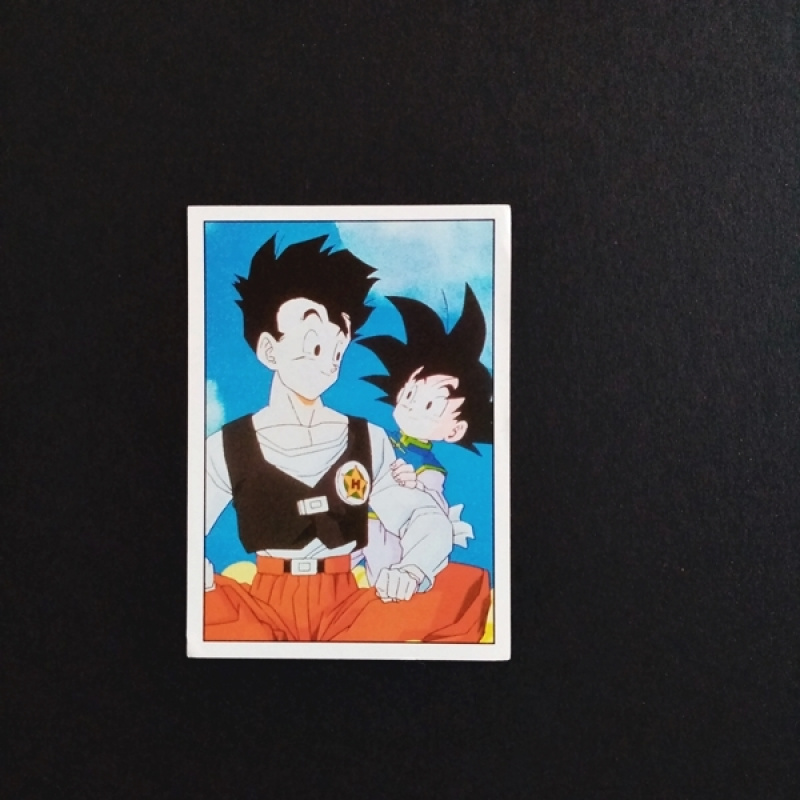 Panini Sammelsticker Dragonball Z Nr. 48