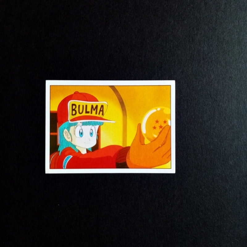 Panini Sammelsticker Dragonball Z Nr. 63