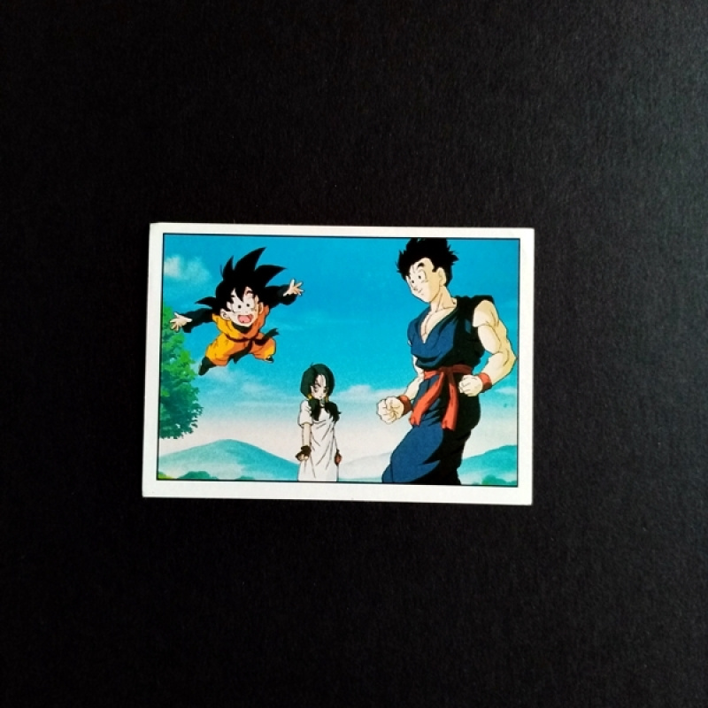 Panini Sammelsticker Dragonball Z Nr. 110