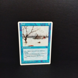 Magic the Gatering -Sammelkarte-Flood
