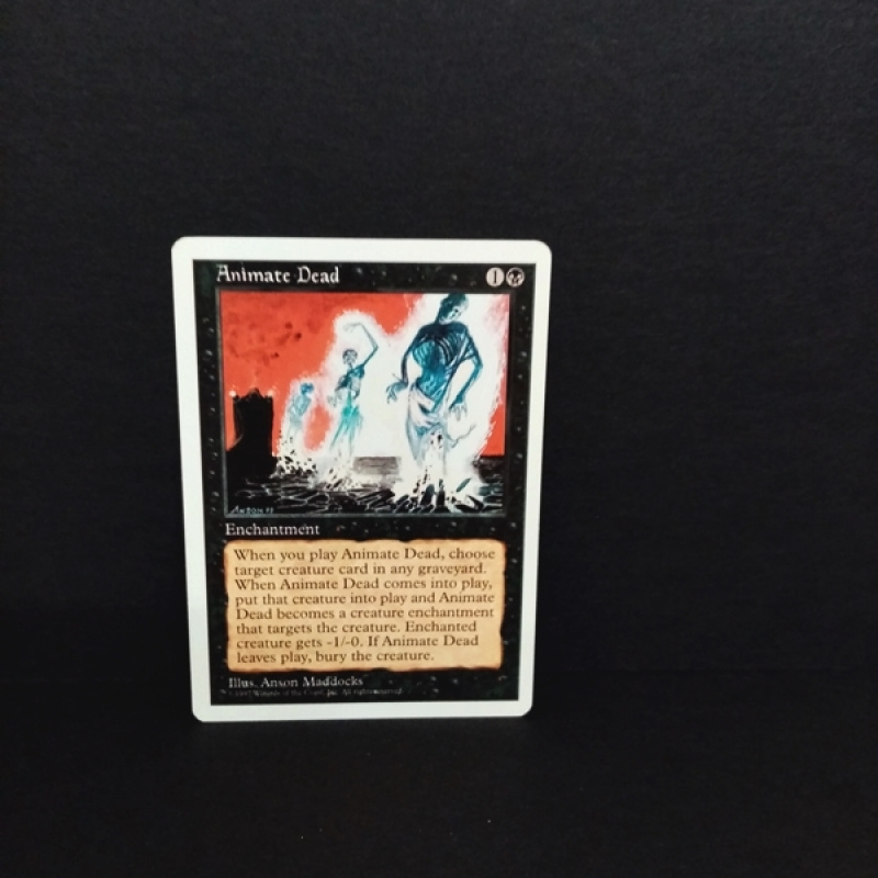 Magic the Gatering -Sammelkarte-MTG--Animate Dead