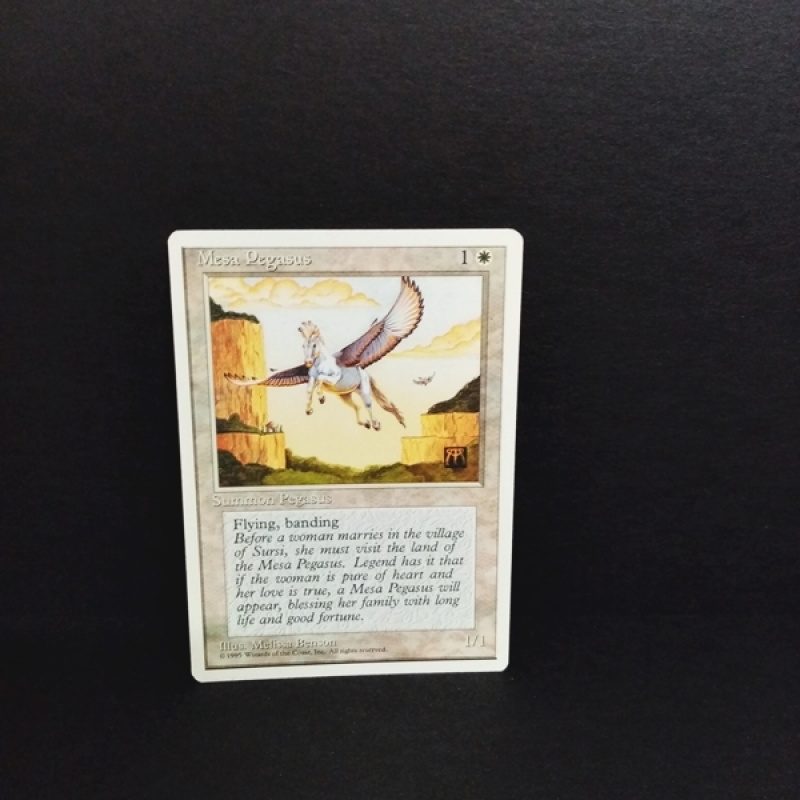 Magic the Gatering -Sammelkarte-MTG--Mesa Pegasus