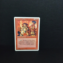 Magic the Gatering -Sammelkarte-Brothers of Fire