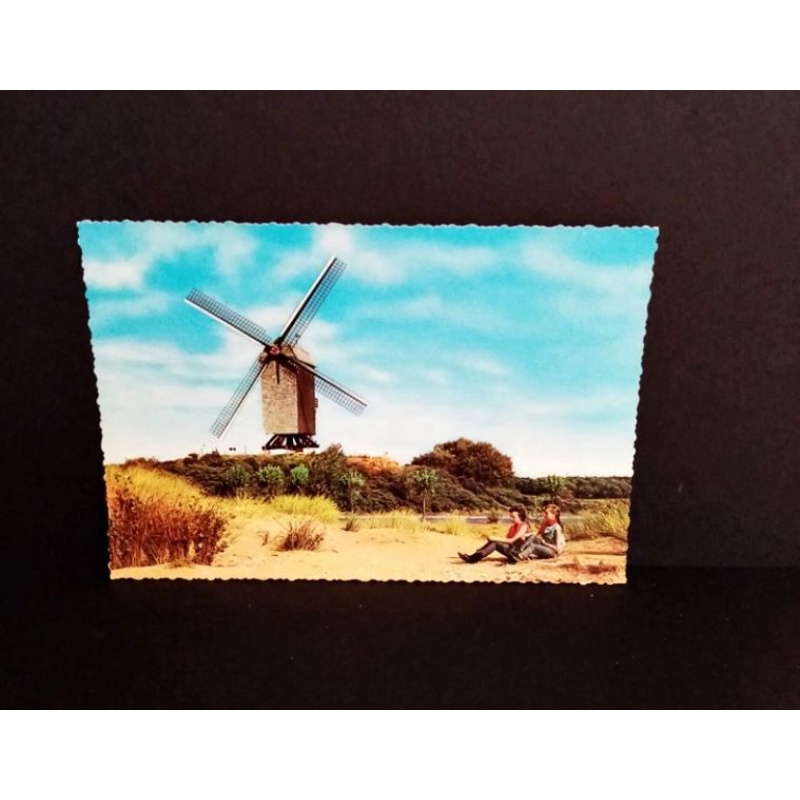 KOKSIJDE-Die alte Mühle. Ansichtskarte-Nr. D-824