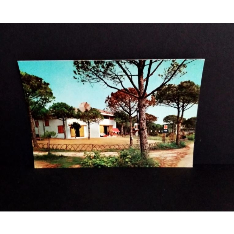 Marina di S. Croce di Torre di Fine-Fichten Strasse. Ansichtskarte-Nr. D-746