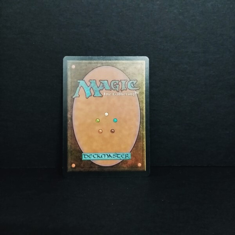 Magic the Gatering -Sammelkarte-Flood
