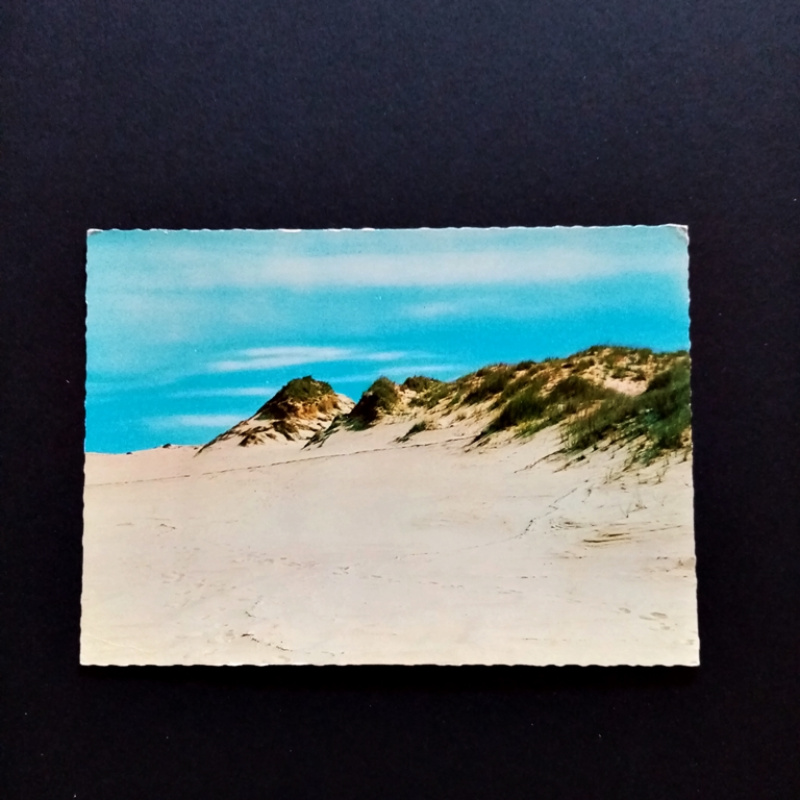 Ansichtskarte-Insel Sylt. Spuren im Dünensand.