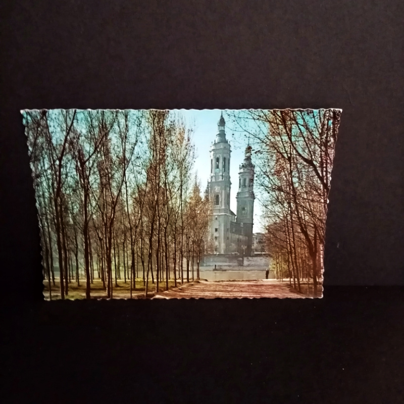 Ansichtskarte-ZARAGOZA El Pilar, desede la Arboleda.