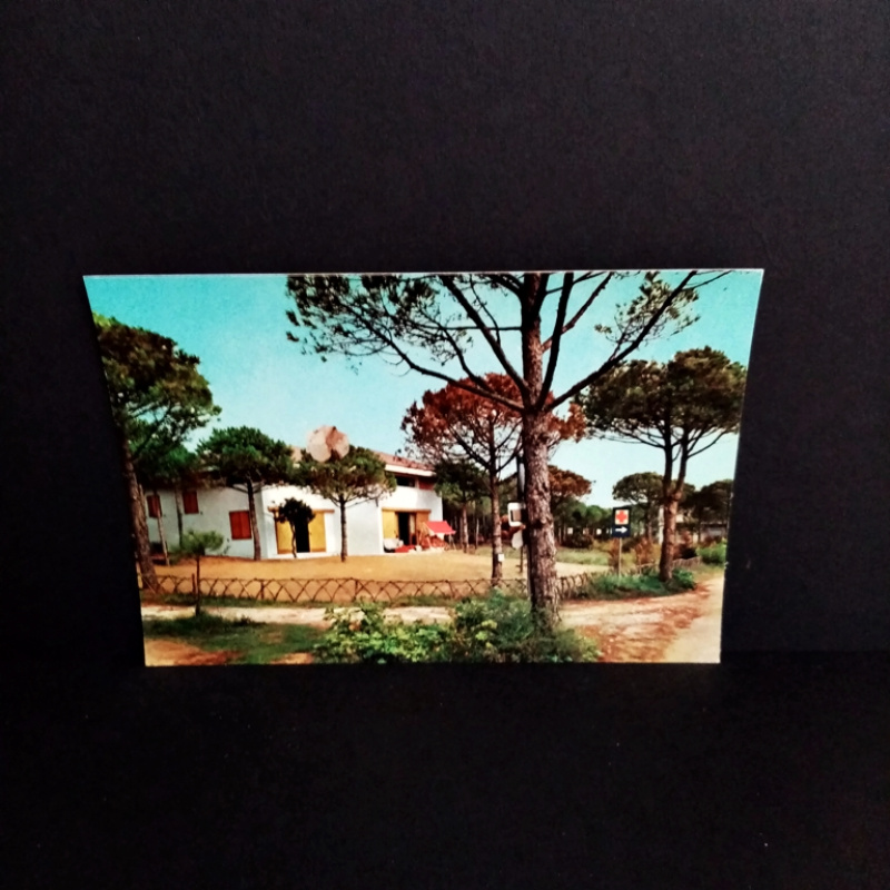 Ansichtskarte-Marina di S. Croce di Torre di Fine-Fichten Strasse.