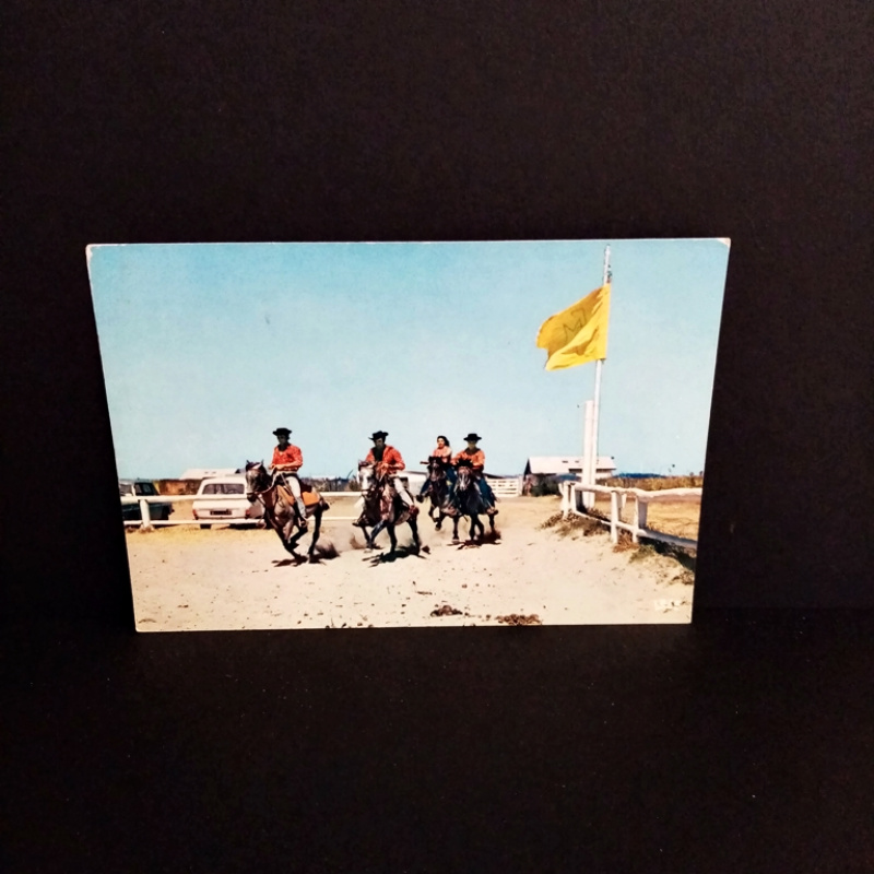 Ansichtskarte-COTE MEDITERRANENNE.Camping Le Castellas.