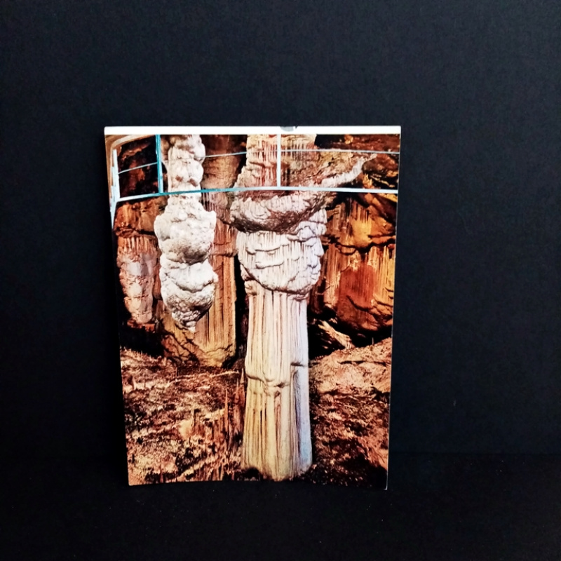 Ansichtskarte-Die Grotte von Postojna.