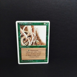 Magic The Gathering-Sammelkarte-Wall of Brambles.