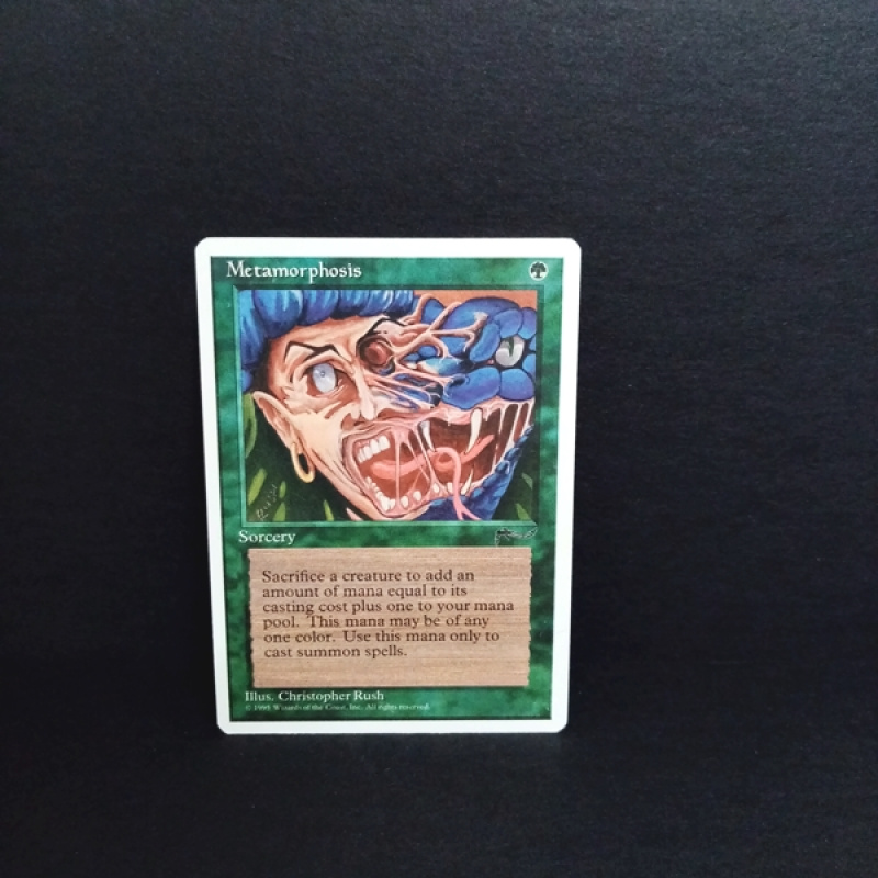 Magic The Gathering-Sammelkarte-Metamorphosis .