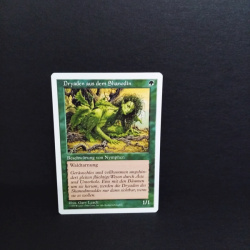 Magic The Gathering-Sammelkarte-Dryaden aus dem Shanodin.