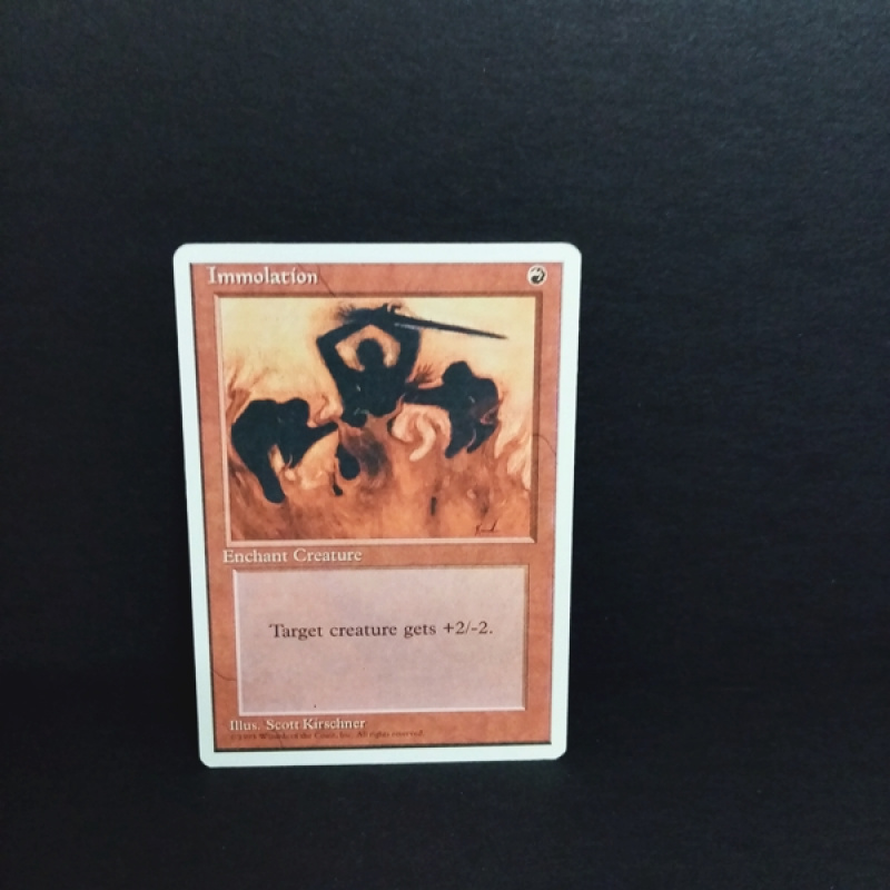 Magic The Gathering-Sammelkarte-Immolation .