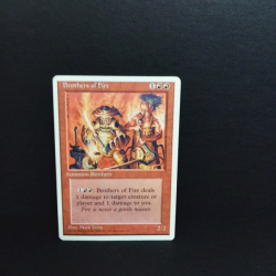 Magic The Gathering-Sammelkarte-Brothers of Fire .