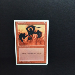 Magic The Gathering-Sammelkarte-Immolation .