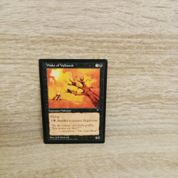 Magic The Gathering Sammelkarte. Wake of Vultures