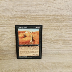Magic The Gathering Sammelkarte. Cjoking Sands