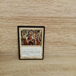 Magic The Gathering Sammelkarte. heldendasein
