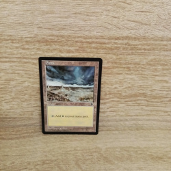 Magic The Gathering Sammelkarte. Plains
