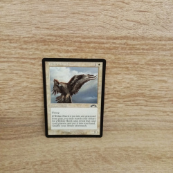 Magic The Gathering Sammelkarte. Welkin hawk