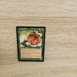 Magic The Gathering Sammelkarte. Spike Feeder