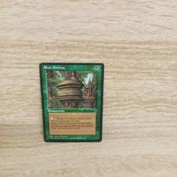 Magic The Gathering Sammelkarte. Elven Fotress
