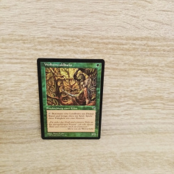 Magic The Gathering Sammelkarte. Wolkenwaldläufer