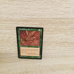 Magic The Gathering Sammelkarte. Bayou Dragonflx