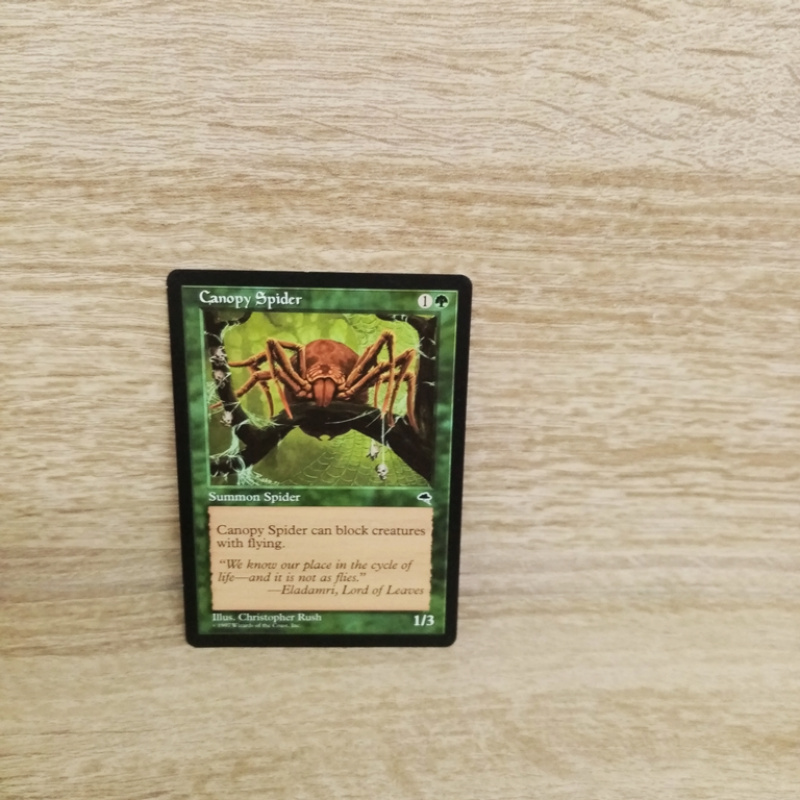 Magic The Gathering Sammelkarte. Canopy Spider