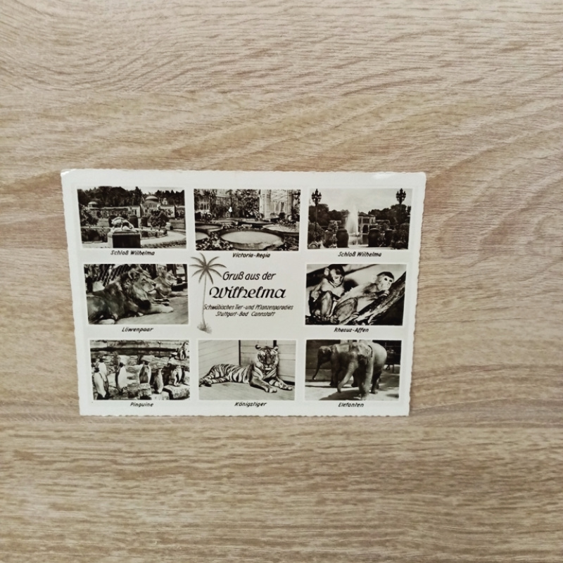 Ansichtskarte-Gruß aus der Wilhelma-MB