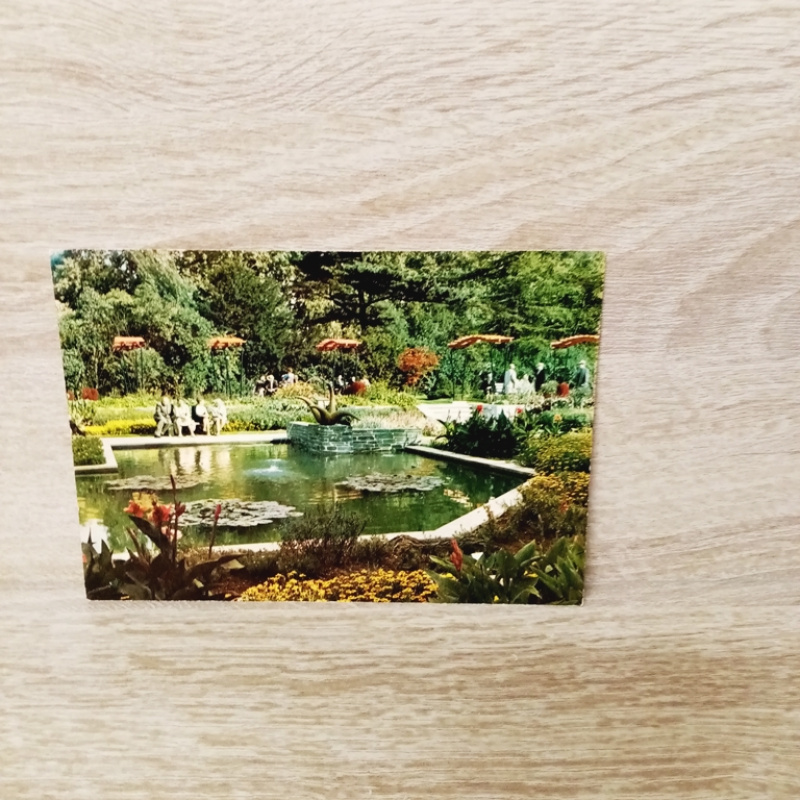 Ansichtskarte-Frankfurt am Main-Palmengarten.