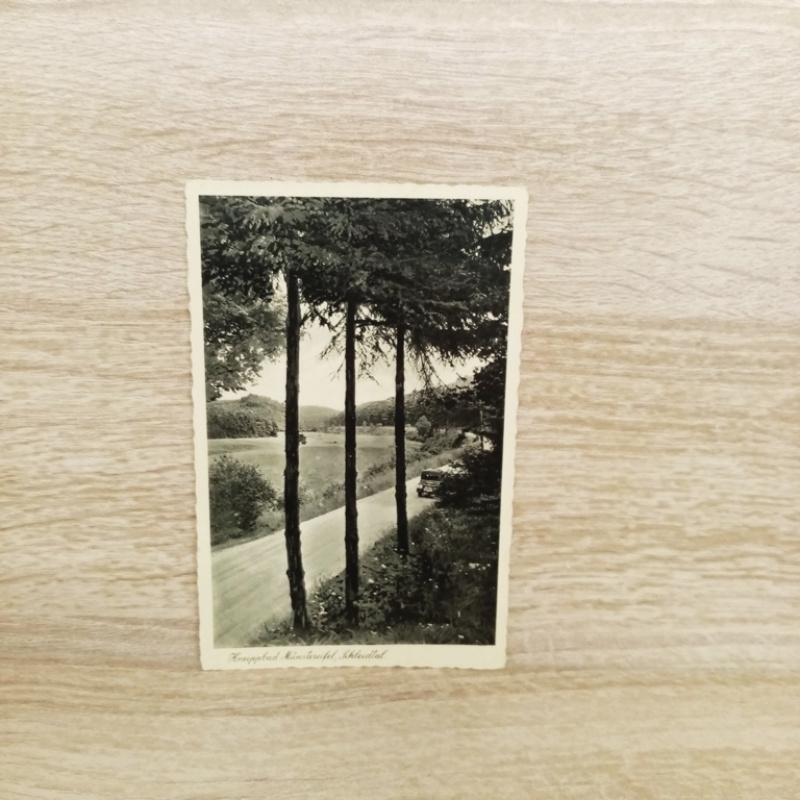 Ak-361-Bad Münstereifel, Schleidtal-1940-Stempel Vogellarazett.