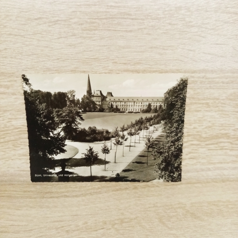 Ak-287-Bonn am Rhein-Universität und Hofgarten.