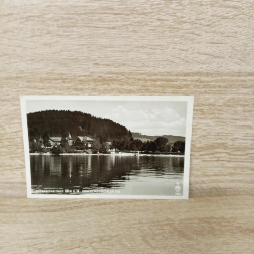 Ak-684-Titisee im Schwarzwald.