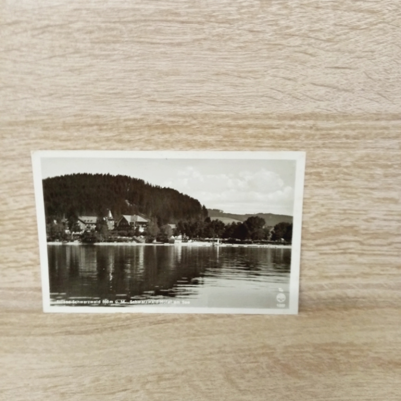 Ak-684-Titisee im Schwarzwald.