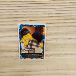 LEGO Ninjago Serie 6 - 169 - Mutterliebe - Aktionskarte
