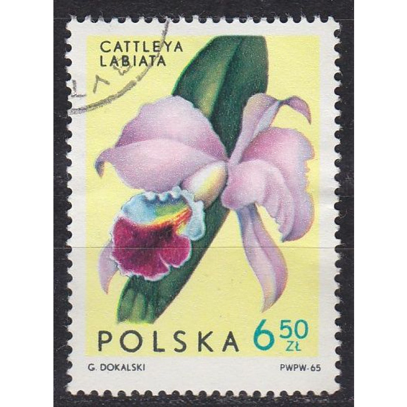 POLEN POLAND [1965] MiNr 1620 ( O/used ) Blumen