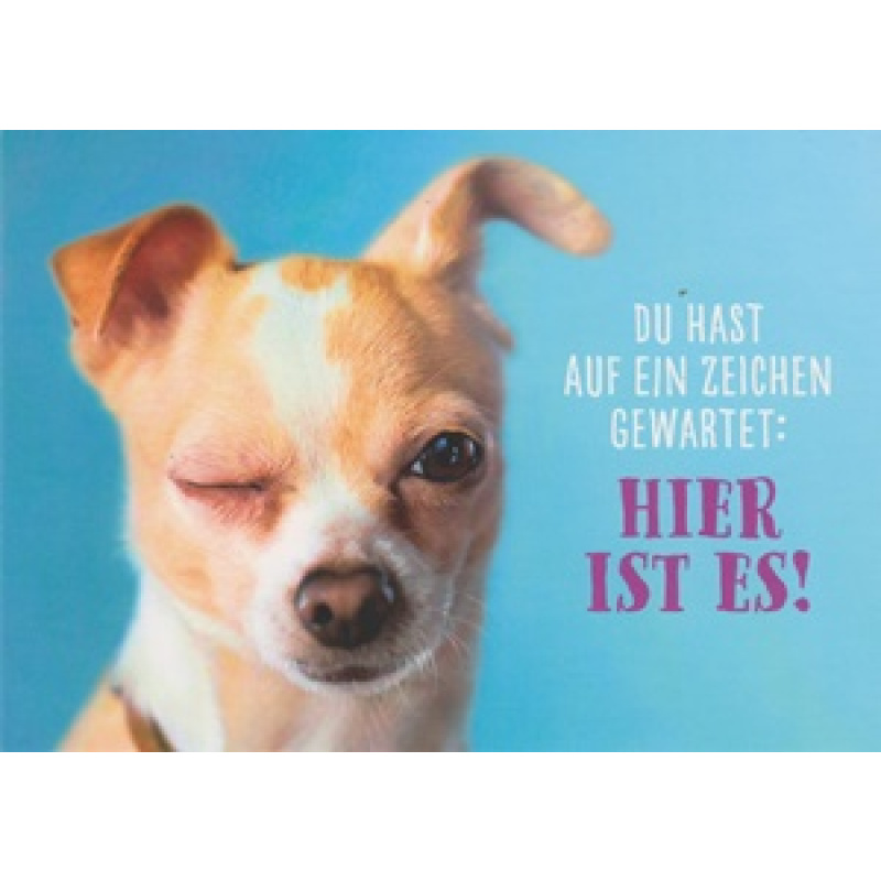 Spruchkarte Du hat auf ein Zeichen gewartet … (K9)