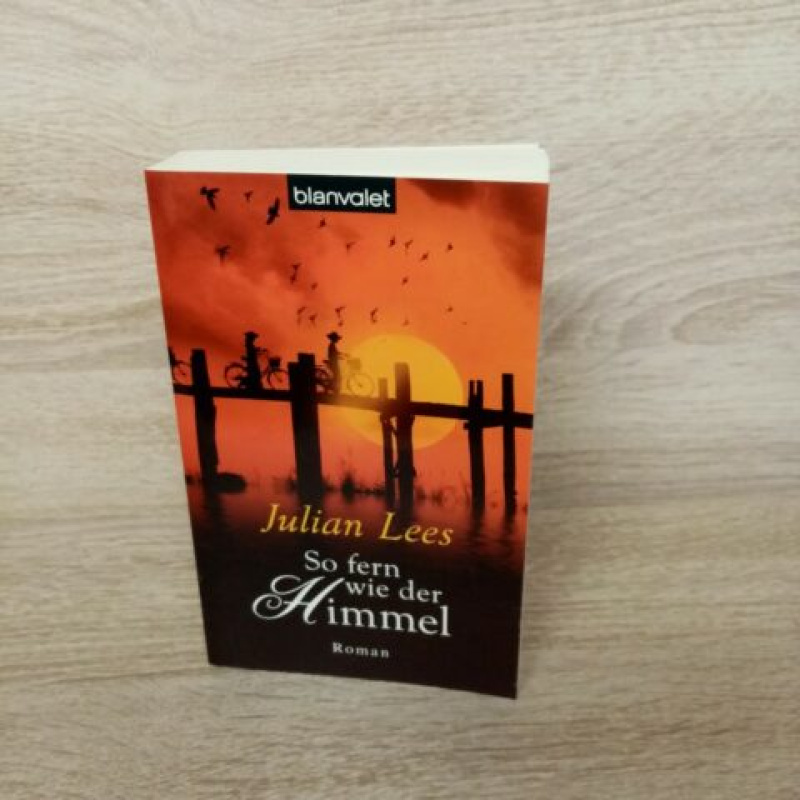 Lees, Julian-So fern wie der Himmel.Roman